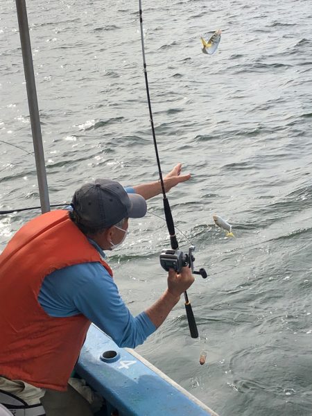 ヤザワ渡船 釣果