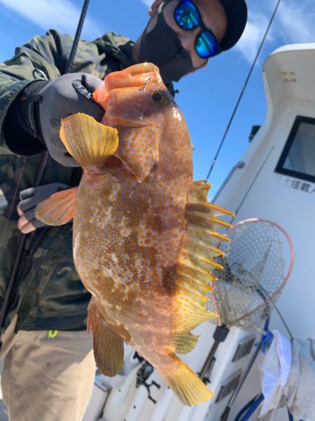 エヌスタイル 釣果