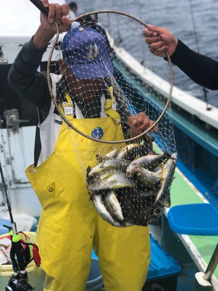 丸万釣船 釣果