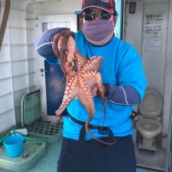 ヤザワ渡船 釣果