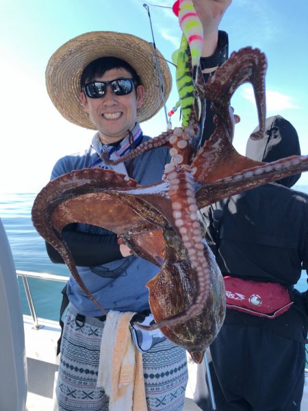 ビッグファイター 釣果