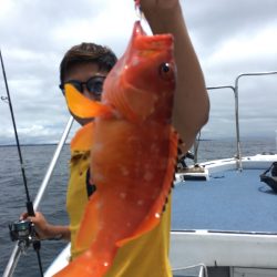 渡船屋たにぐち 釣果