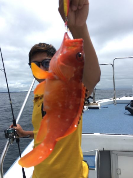 渡船屋たにぐち 釣果