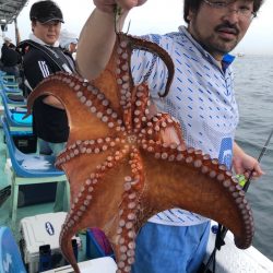 ヤザワ渡船 釣果