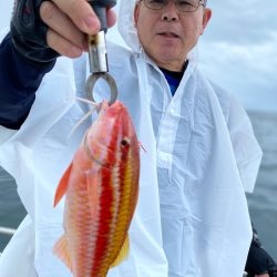 龍神丸（鹿児島） 釣果