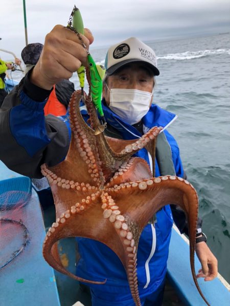 ヤザワ渡船 釣果