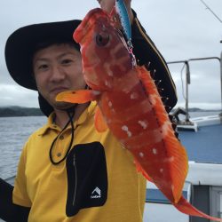 渡船屋たにぐち 釣果