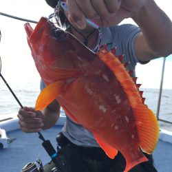 渡船屋たにぐち 釣果