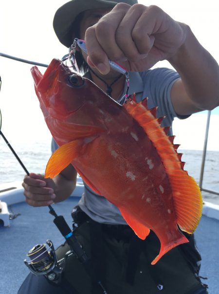 渡船屋たにぐち 釣果