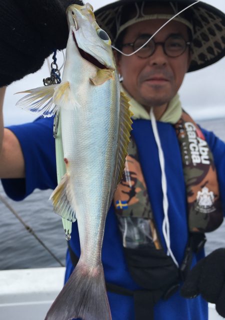 渡船屋たにぐち 釣果