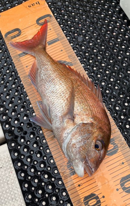 釣人家 釣果