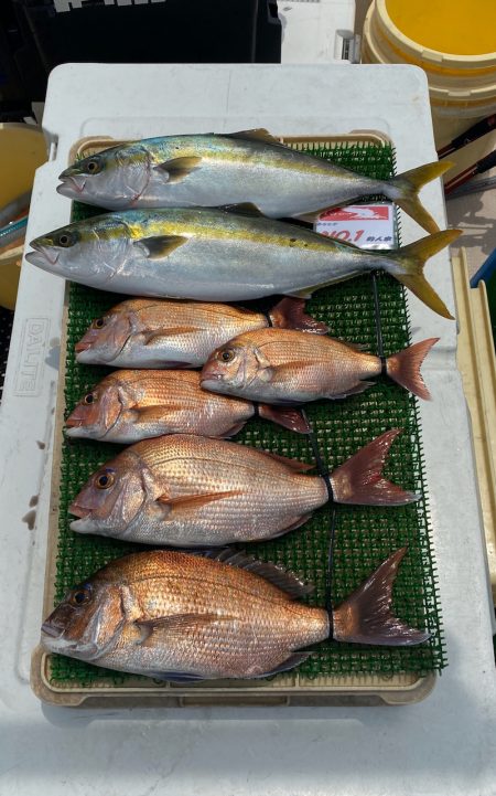 釣人家 釣果