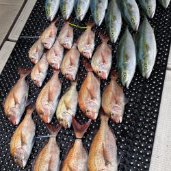 釣人家 釣果