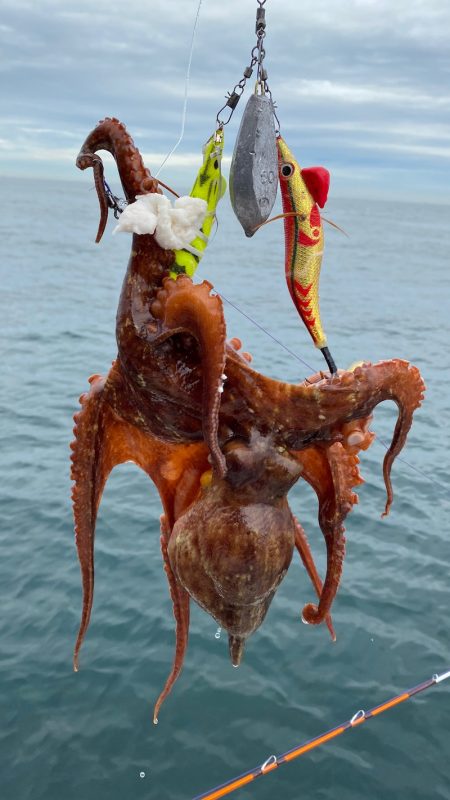 釣人家 釣果