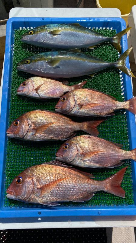 釣人家 釣果