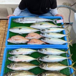 釣人家 釣果