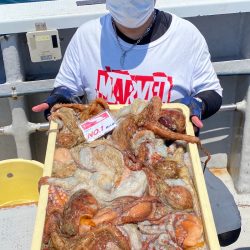 釣人家 釣果