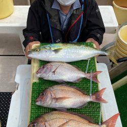 釣人家 釣果