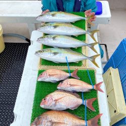 釣人家 釣果