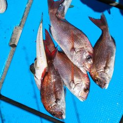 フィッシングガイド りょう 釣果