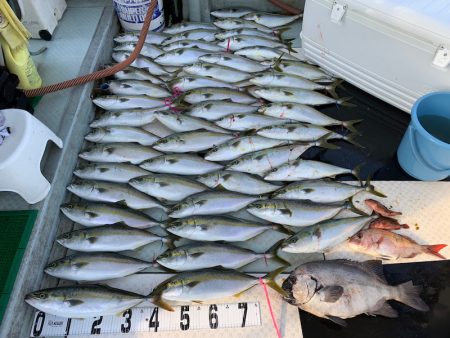 オーシャンスター(Ocean Star) 釣果