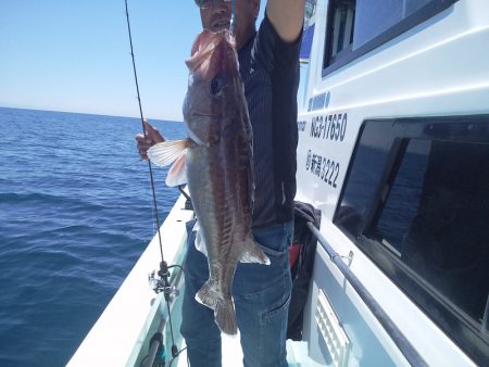 ひな丸 釣果