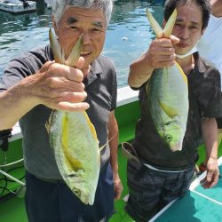 ゆたか丸 釣果