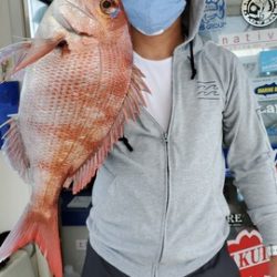 遊漁船　ニライカナイ 釣果