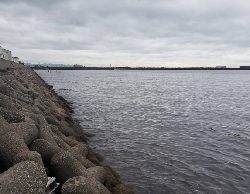 雨の合間に