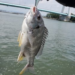 大雨の影響