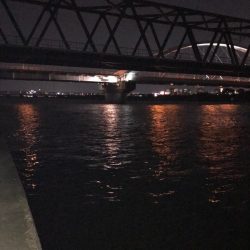 淀川のチニング