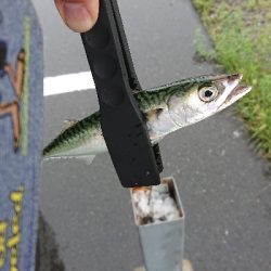 雨が降るまで