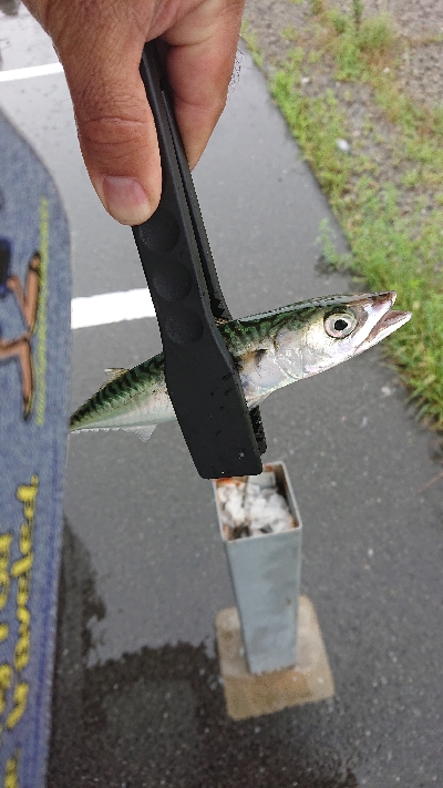 雨が降るまで