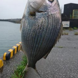 へち釣り