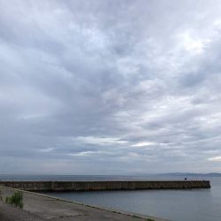 小物はたくさん釣れていた