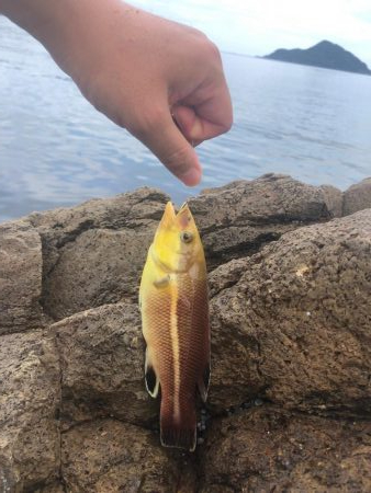 現地調達の蟹でも釣れた