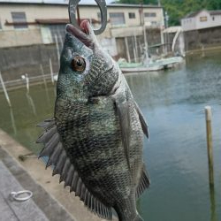 へち釣り