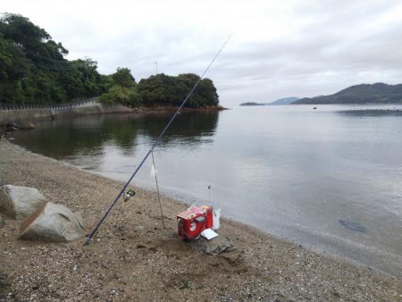 久しぶりに室津で投げ釣り