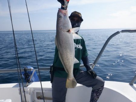 開進丸 釣果