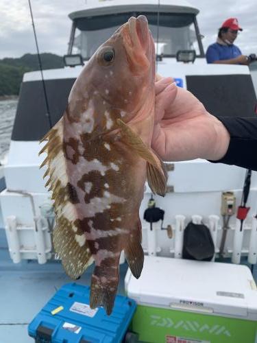 龍幸丸 釣果