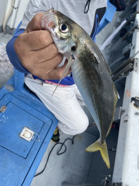 夢丸 釣果