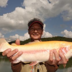 フィッシングレイクたかみや 釣果