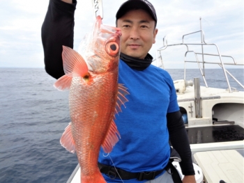 鯛紅丸 釣果