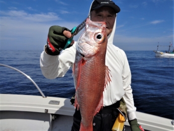 鯛紅丸 釣果