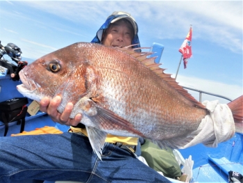 鯛紅丸 釣果