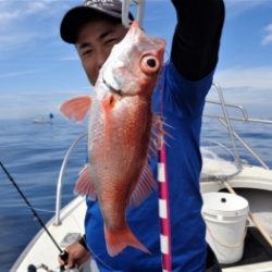 鯛紅丸 釣果