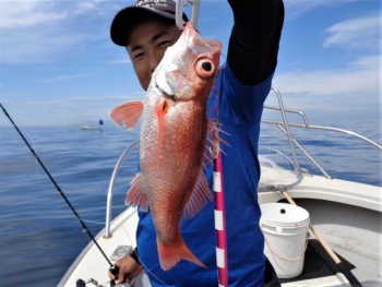 鯛紅丸 釣果