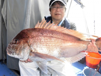 鯛紅丸 釣果