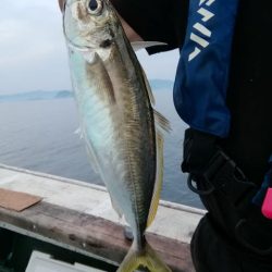 松福丸 釣果