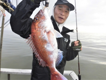 鯛紅丸 釣果